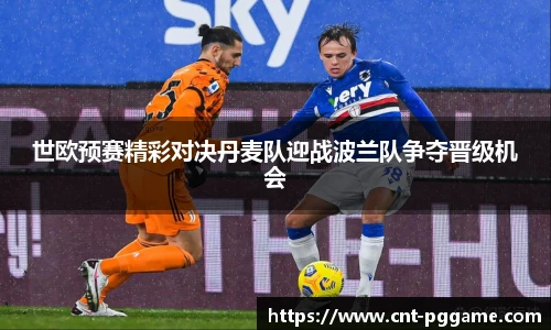 世欧预赛精彩对决丹麦队迎战波兰队争夺晋级机会